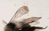 30398 – Photo : Julien Ait El Mekki – France (25)