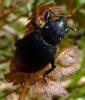 30590 – Photo : Magalie Mazuy – France (25)