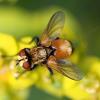 30742 – Photo : Vincent Derreumaux – France (30)