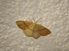 30400 – Photo : Arnaud Jean-Pierre – France (09)