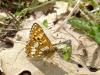 30638 – Photo : Arnaud Jean-Pierre – France (11)
