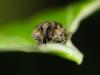 30923 – Photo : Vincent Lefebvre – France (91)