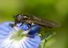30480 – Photo : jean-claude bernard – France (29)