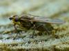 30144 – Photo : Denys Liger – France (27)