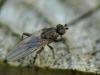 30694 – Photo : Denys Liger – France (27)