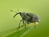 30900 – Photo : Denys Liger – France (27)