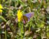 30937 – Photo : Thierry Darmuzey – France (13)