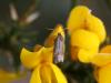 30844 – Photo : Mael Garrin – France (22)