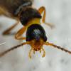 300448 – Photo : André Burgers – Espagne