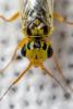 300451 – Photo : André Burgers – Espagne