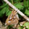 300981 – Photo : Pierre SENGEZ – France (60)