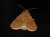300802 – Photo : Jean-Jacques PORTENEUVE – France (83)