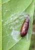 300671 – Photo : Pierre BABY – Mayotte