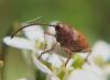 300916 – Photo : Ivan Jaubertie – France (24)