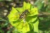 300721 – Photo : oss007 – France (13)