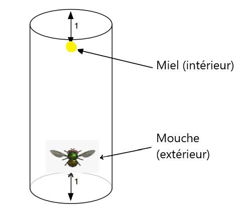 Indéterminé
