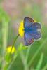 301908 – Photo : Michel Renou – France (91)