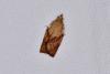 301070 – Photo : Michel Mathieu – France (14)