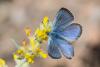 301602 – Photo : Bernard Saquet – Espagne