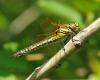 301410 – Photo : ldvn – France (17)