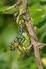 301411 – Photo : ldvn – France (17)