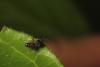 301204 – Photo : Simon Thevenin – France (13)