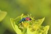 301027 – Photo : Simon Thevenin – France (34)