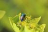 301028 – Photo : Simon Thevenin – France (34)