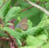 301023 – Photo : Alfredo Herrero – France (40)