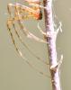 301276 – Photo : Jean-Michel GAREL – France (89)