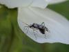 301620 – Photo : Nathalie PEGON – France (21)