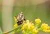 301310 – Photo : Jessica Joachim – France (09)