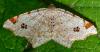 301258 – Photo : Cédric Mondy – France (94)
