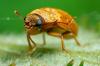 301677 – Photo : Cédric Mondy – France (94)