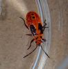 301178 – Photo : DL – Thaïlande