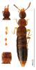 301088 – Photo : Emmanuel Gay – France (74)