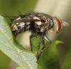 301588 – Photo : Yoann Pelouard – France (72)