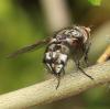 301600 – Photo : Yoann Pelouard – France (72)