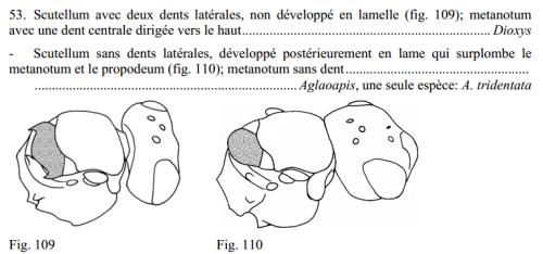 Indéterminé