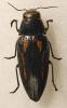 302967 – Photo : Raffaele Bocchini – Turquie