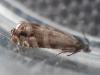 302514 – Photo : Alexandre Van der Yeught – France (83)