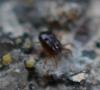 302067 – Photo : Goulven Guillard – France (63)
