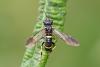 302386 – Photo : Pierre Duhem – France (95)