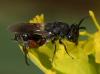 302800 – Photo : éric Pensa – France (13)