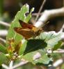 302488 – Photo : Philippe Fourtier – France (06)