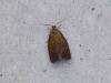 302419 – Photo : VERMELLE Georges – France (62)