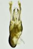 302429 – Photo : roy – France (85)