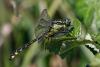302344 – Photo : Gilles Creyssac – France (24)