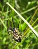 302732 – Photo : Philippe Bissières – France (26)