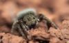 302734 – Photo : Raphaël Grellety – France (34)